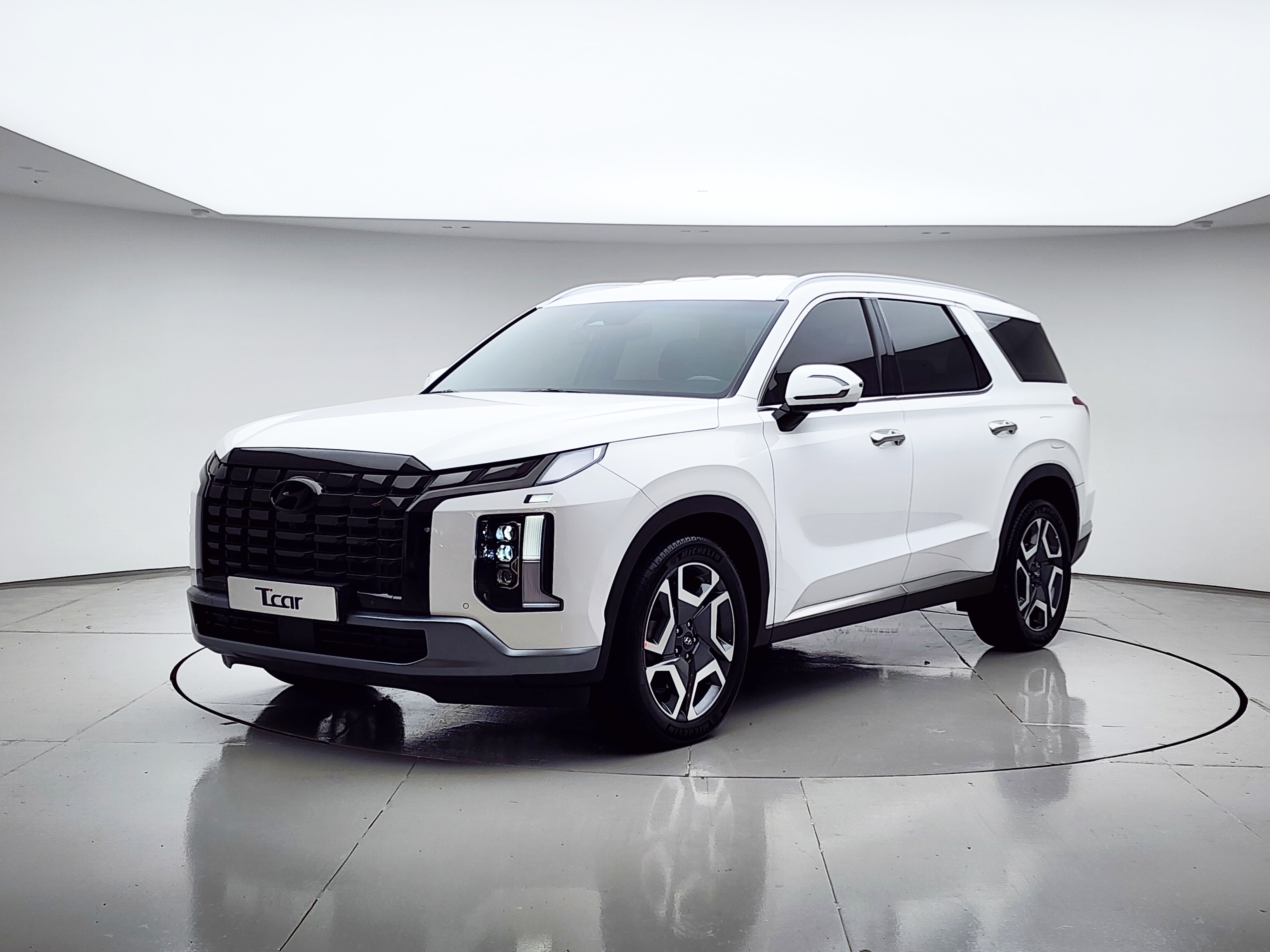 현대 더 뉴팰리세이드